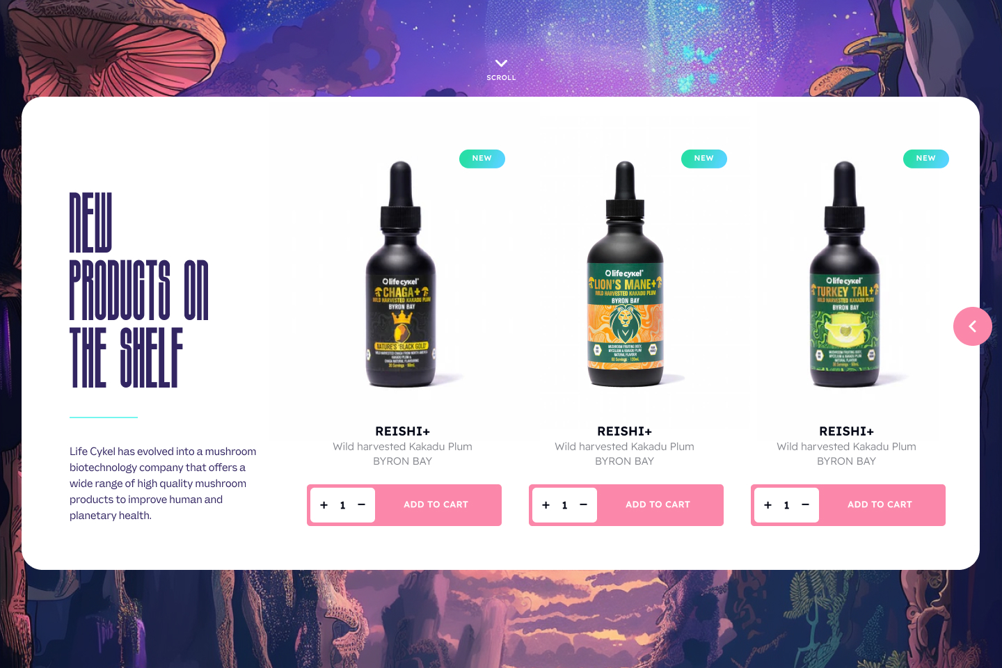 AI meets UX/UI